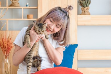 young asian woman playing with cat in living room at home