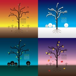 four season of tree