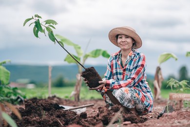 women gardener planting avocado tree on blured nature background in rural or countryside