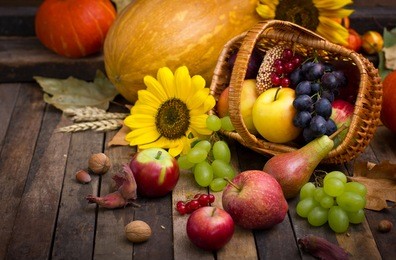 autumn harvest - fresh fruits in the basket