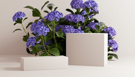 blue flowers and leaves with geometric props minimal organic cosmetic product presentation. 3d rendering beige empty room – object display mockup background.