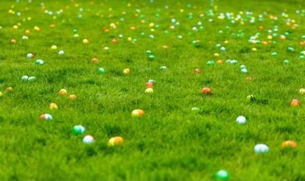 a spring meadow with easter eggs hidden in the grass