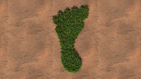 concept conceptual green summer lawn grass symbol shape on brown soil or earth background, barefoot sign. 3d illustration metaphor for nature, health, environment, carbon footprint and climate change