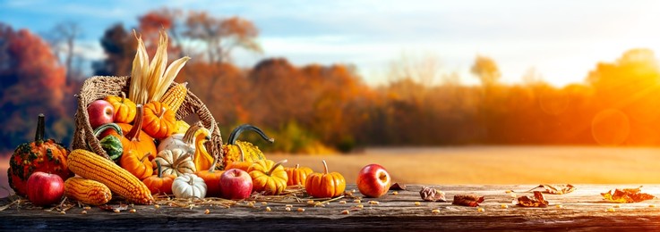 basket of pumpkins, apples and corn on harvest table with field trees and sky background - thanksgiving