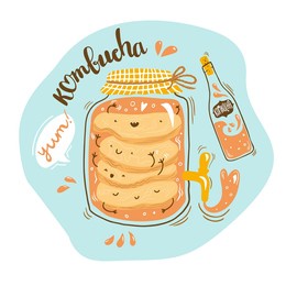 kombucha tea brewery natural healthy drink label illustration. cute cartoon scoby and lettering. hand drawn vector design for poster, print, restaurant menu, packaging. 