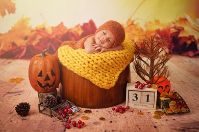 31 october, haloween day, baby lying in a wood basket to celebrate the holidays including pumpkin head, dried tree, maple, cherry, gold money with orange and yellow maple background. 