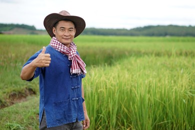 selective focus photo of asian male farmer at paddy field.                               