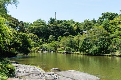 japan. narita. the lake in park