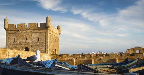 essaouira port with blue fishing boats and the fortress of castelo real of mogador, morocco. unesco world heritage site.