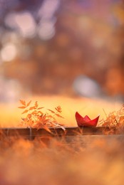 autumn vibes with lovely toys 