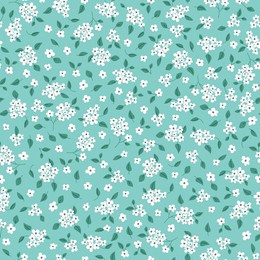 seamless floral pattern. pretty, small white flowers on a light green background. ditsy print. blossoming meadow. vector illustration.