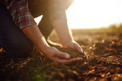 male hands touching soil on the field. expert hand of farmer checking soil health before growth a seed of vegetable or plant seedling. business or ecology concept.