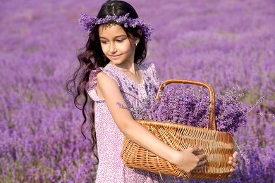 beautiful girl in wreath on the lavender field. girl with long hair collects lavender
