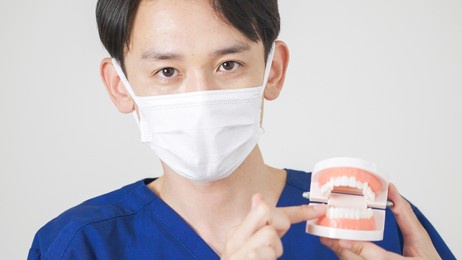 asian young dentist with a tooth model