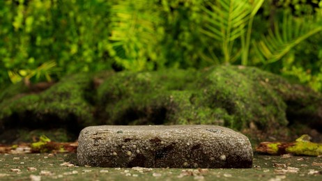 empty display rocks as a pedestal for product presentation in the jungle (3d rendering)