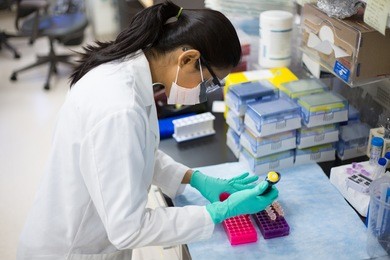 closeup portrait, young scientist in labcoat doing experiments in lab, academic sector.