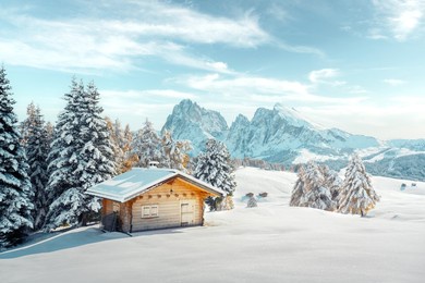 picturesque landscape with small wooden log cabin on meadow alpe di siusi on winter time. seiser alm, dolomites, italy. snowy hills with orange larch and sassolungo and langkofel mountains group