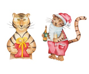 watercolor illustration of hand painted tigers in red santa claus clothes with bottle, glass of champagne and with present gift box. isolated clip art cartoon characters for design greeting postcards