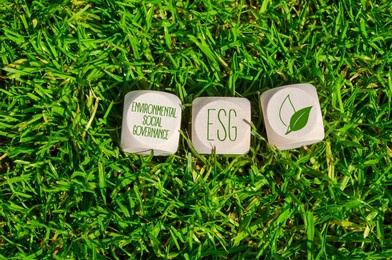 cubes, dice or blocks with acronym esg environment social governance on green grass