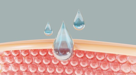water and vitamin drop on skin cell.
serum through the skin layer and reduce up saggy skin of the skin cell. 3d rendering.  