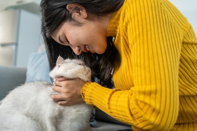asian woman holding and play with little cat with happiness at home. attractive beautiful female sit on sofa, spend leisure free time and massaging her pet animal with gentle in living room in house.