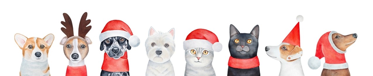 dogs and cats wearing cute christmas accessories, reindeer antlers and red santa hat. hand painted watercolour drawing, isolated clip art elements for design and christmas holidays celebration.