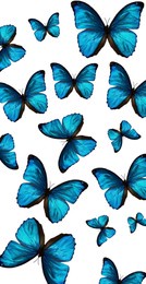 blue butterflies illustrate png high beauty design