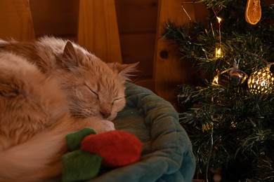 holiday season ginger cat sleeping close to a christmas tree with led lights and decoration