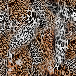seamless leopard texture, leopard fur, animal skin, african animal print.