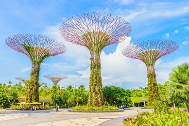garden by the bay at singapore