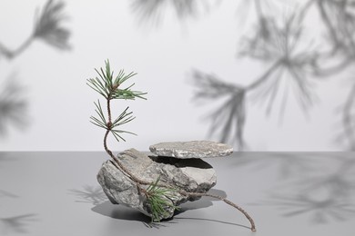 abstract nature scene with composition of gray stones and pine tree branches shadows. neutral background with podium for cosmetic or beauty product, branding, packaging mockups. copy space, front view