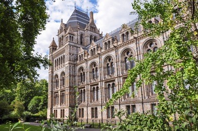 side part of natural history museum building in london, united kingdom