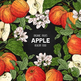 vector hand drawn frame with whole apple, half, flower, branch and leaves isolated on dark background. organic fruits healthy illustration