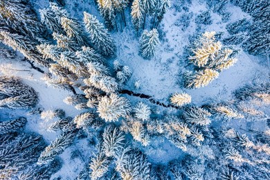 snowy winter landscape. drone view.