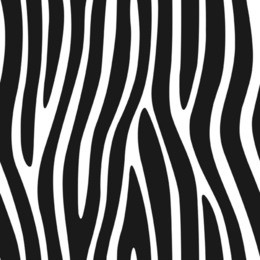 zebra stripes seamless pattern 4
