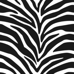 zebra stripes seamless pattern 2