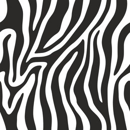 zebra pattern