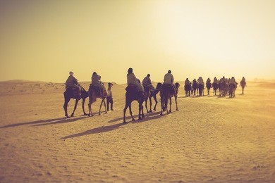 sahara desert. filtered image:cross processed vintage effect.