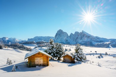 picturesque landscape with small wooden log cabin on meadow alpe di siusi on winter time. seiser alm, dolomites, italy. snowy hills with orange larch and sassolungo and langkofel mountains group