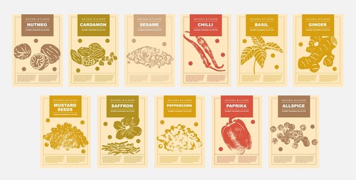 nutmeg, cardamon, sesame, chilli, basil, ginger, mustard seeds, saffron, peppercorn, paprika, allspice. set of posters of spices and herbs for food preparing and culinary in a abstract design