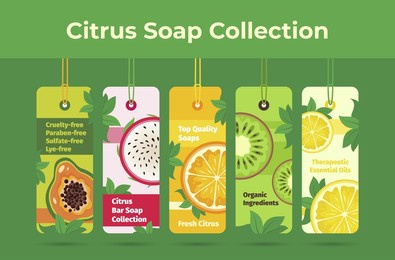 citrus soap tag hanging on rope collection with place for text vector flat illustration. set of advertising labels handmade cosmetics hygienic foam washing. spa body care promo sticker exotic fruits