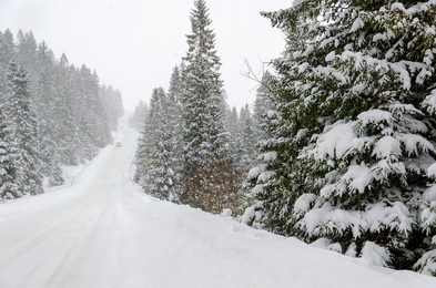 snow covered road high in the mountains. winter landscape scene. pine trees under a large layer of snow. snowfall in the highlands. harsh winter. natural photos in winter.