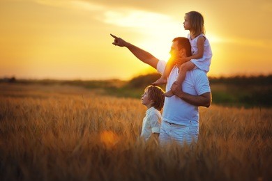 happy family: young father with his little children walking in the wheat field at summer sunset. girl is sitting on her daddy's shoulders and the man is pointing his daughter and son to something. 
