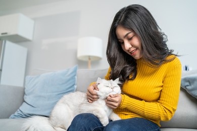 asian woman holding and play with little cat with happiness at home. attractive beautiful female sit on sofa, spend leisure free time and talk with her pet animal with gentle in living room in house.