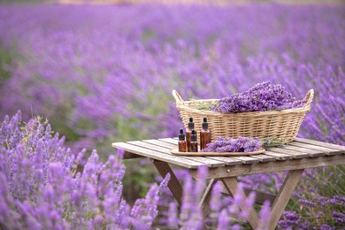 amber essential lavender oil bottle. violet lavendar field in provence.