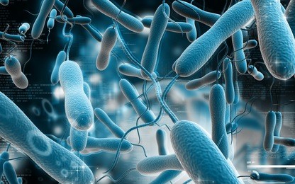 digital illustration of cholera bacteria in   colour background  