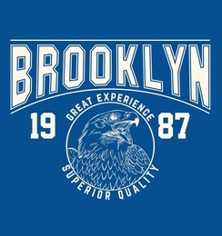 brooklyn.retro college varsity typography california slogan print, vector illustration, for t-shirt graphic.