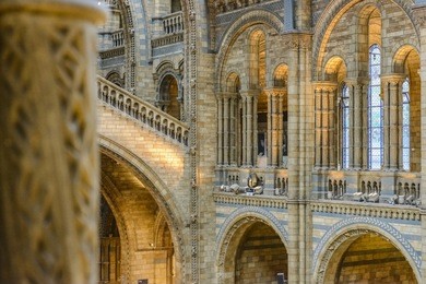 natural history museum interior in london, united kingdom