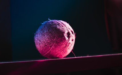 neon blue and pink light in club bar. exotic fruit coconut close up against black background. coconut neon purple background. minimal summer concept. creative tropical fruit composition