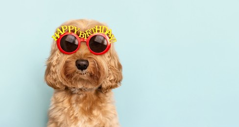funny dog celebrating with happy birthday sunglasses